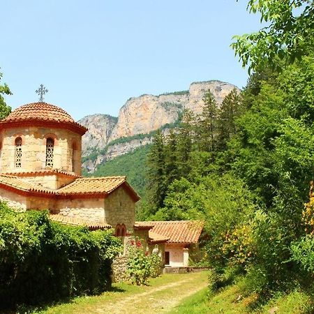 Studio** Cle Des Champs Au Pied Du Vercors Saint-Laurent-en-Royans エクステリア 写真